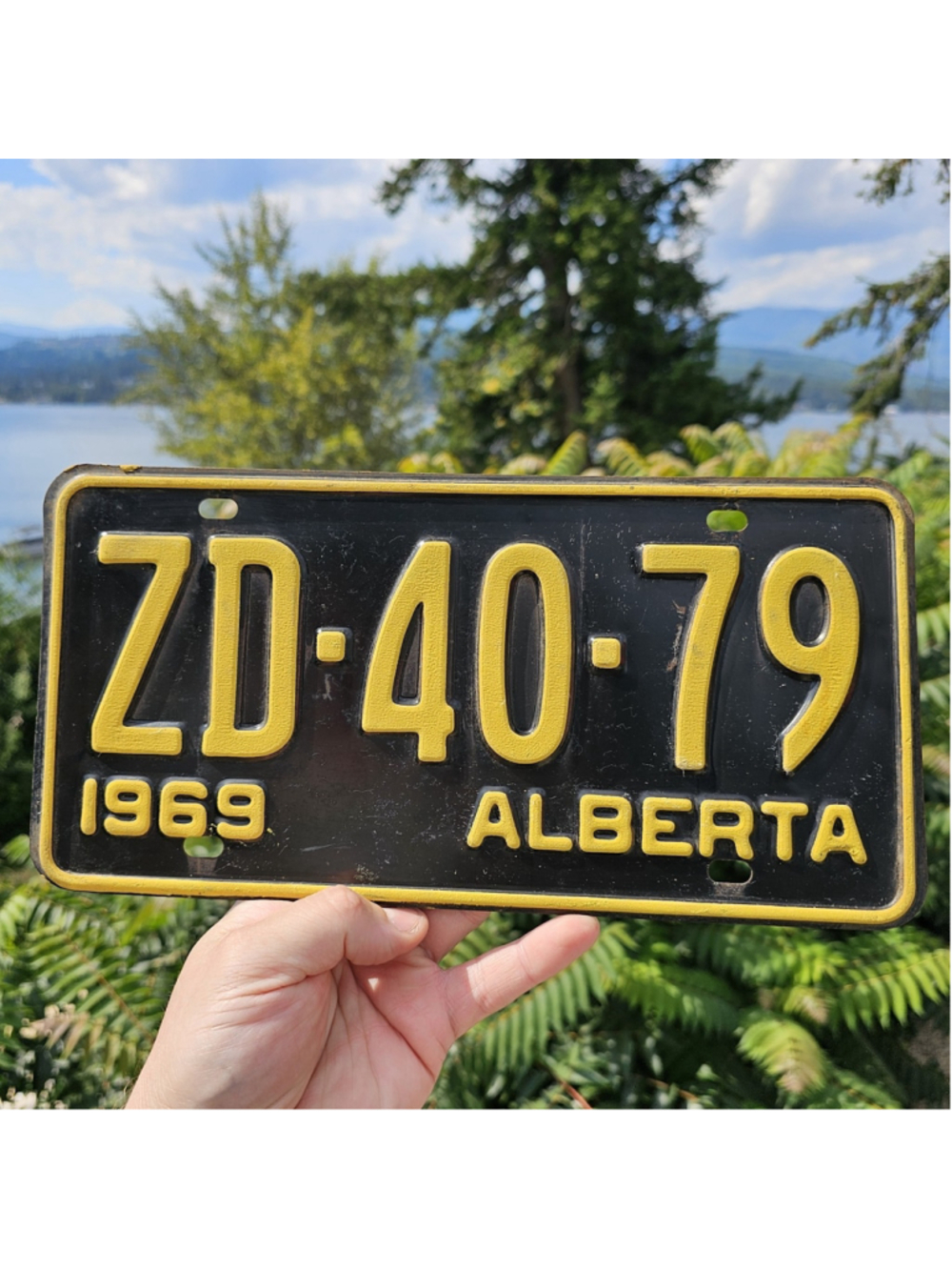 1969 Alberta License Plate ZD-40-79 Black Yellow Vintage Canada Collector